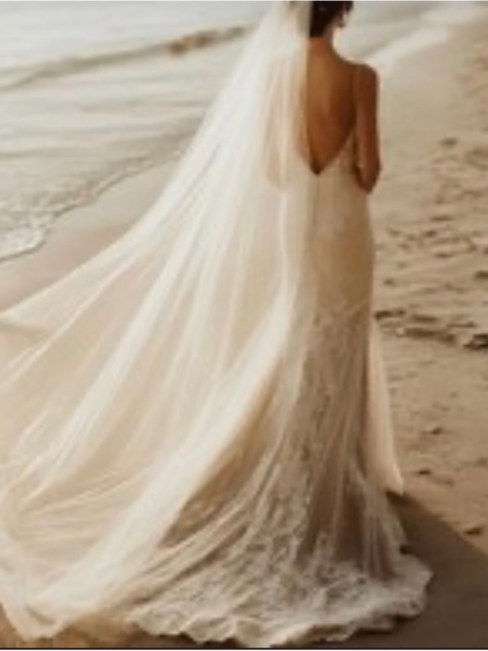 Soft Tulle Cathedral Length Veil - Ivory